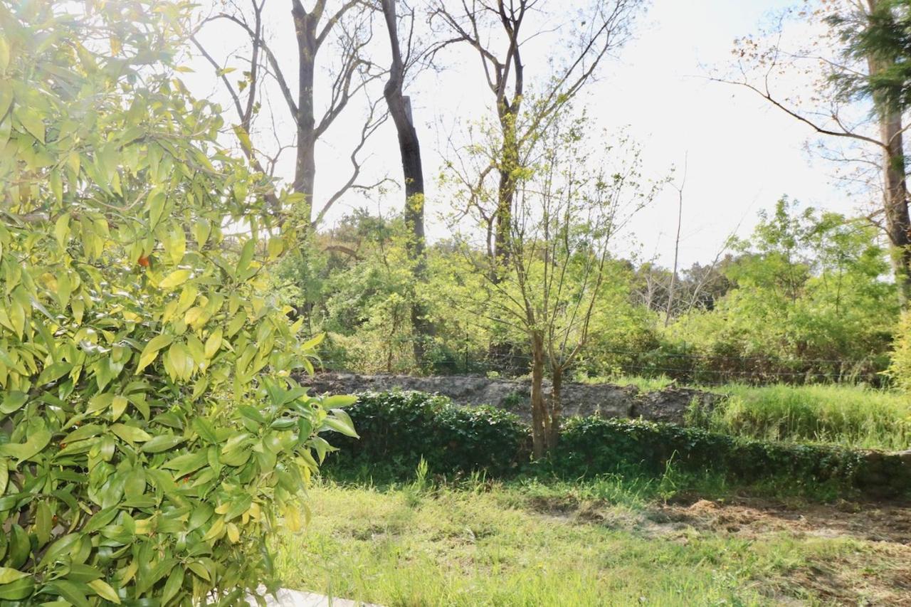 Gites Terra Di A Bravona Linguizzetta エクステリア 写真