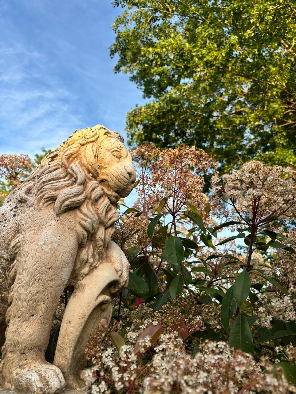 Gites Terra Di A Bravona Linguizzetta エクステリア 写真